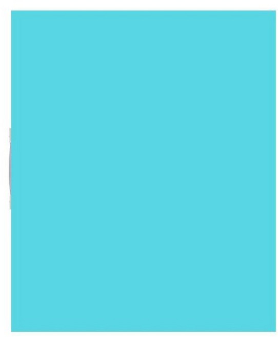 대형 클리어화일 파일첩 도화지 작품 파일 포스터 도면, 1개, 스카이블루 A1 10페이지 12