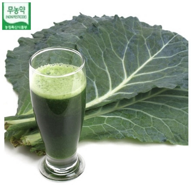 [이벤트]BRM연구소 무농약 녹즙용 케일 1.5kg, 1개