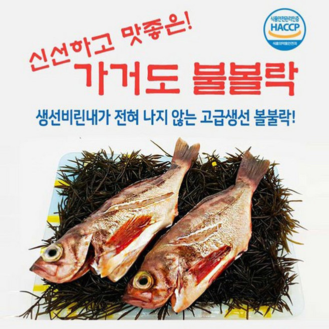 가거도 볼락 산지직송 불볼락 열기 대/특대 천일염 섶간, 대3마리(25cm전후), 1개