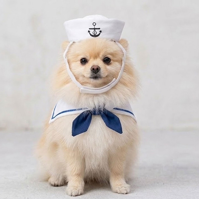 마린펫 의상 강아지 고양이 여름 모자 케이프, 1