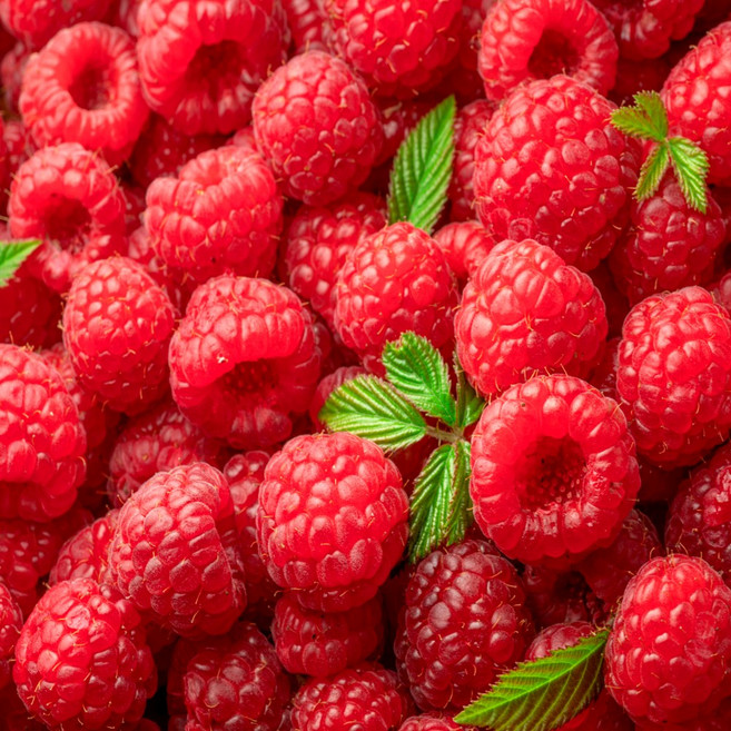 (26년 정품) 일등농수산 경남 김해 생 산딸기, 1개, 250g 3팩