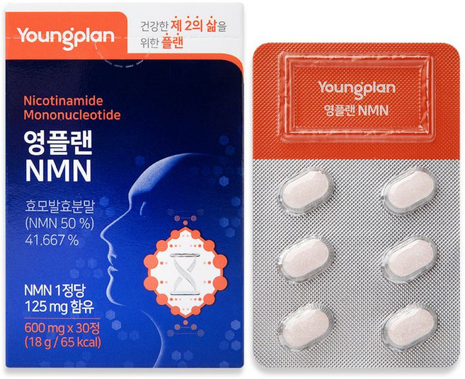 영진약품 영플랜 NMN, 1개, 30정