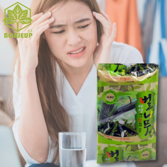 본즙 국산 벌나무즙 100ml 30팩 진액 농축액, 100g, 1개