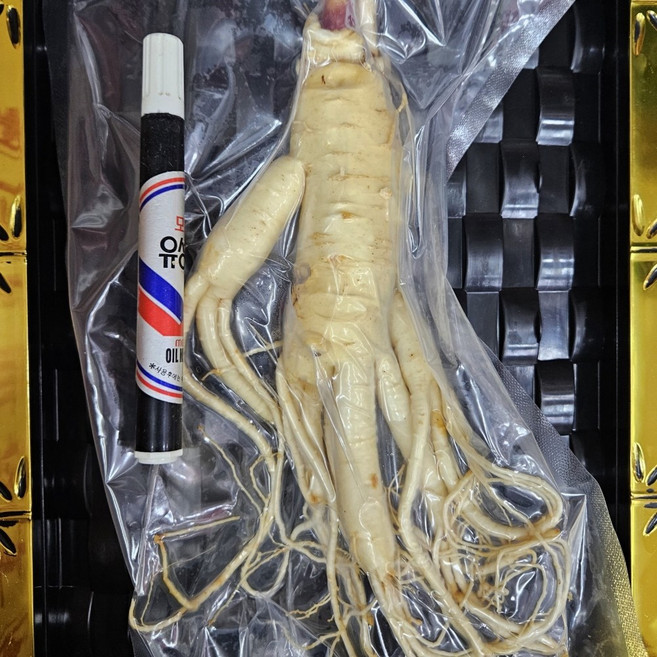풍기인삼 6년근 특대 extra large size 굵은 한 뿌리 세척인삼 담금주 한보인삼사, 125g, 8세트