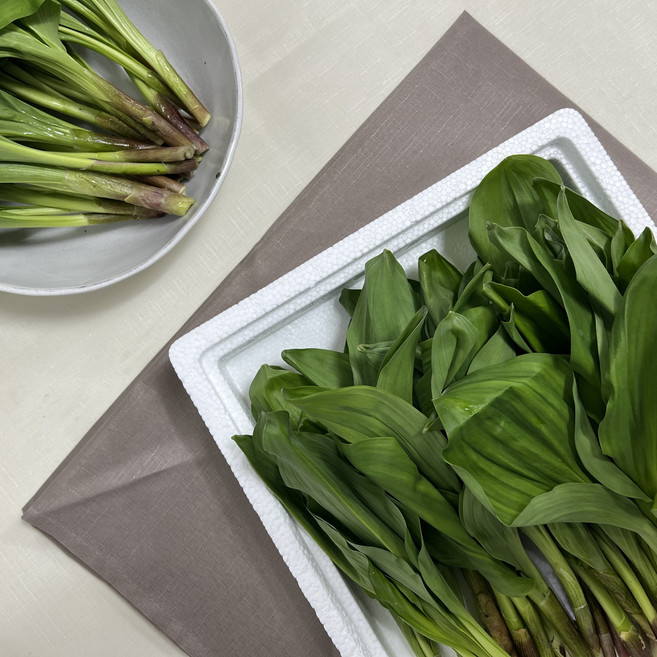 국내산 홍천 산마늘 생 명이나물, 1개, 1kg, 1kg