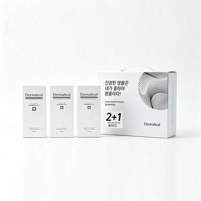 [2+1] 헤어 컨디셔닝 샴푸 클라우드 500ml, 1세트