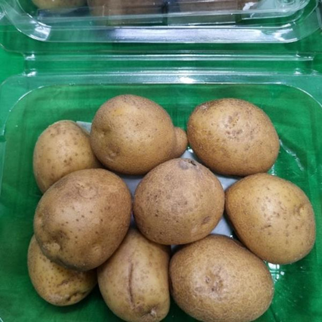 고당도 스테비아 감자 800g 1팩 맛보기