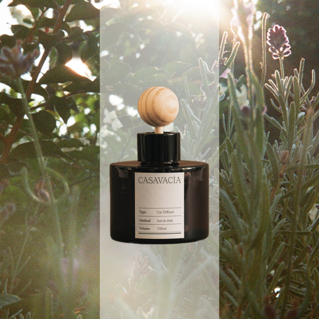 카사바시아 남자 여자 차량용 방향제 디퓨저 카 자동차, 본조르노, 1개