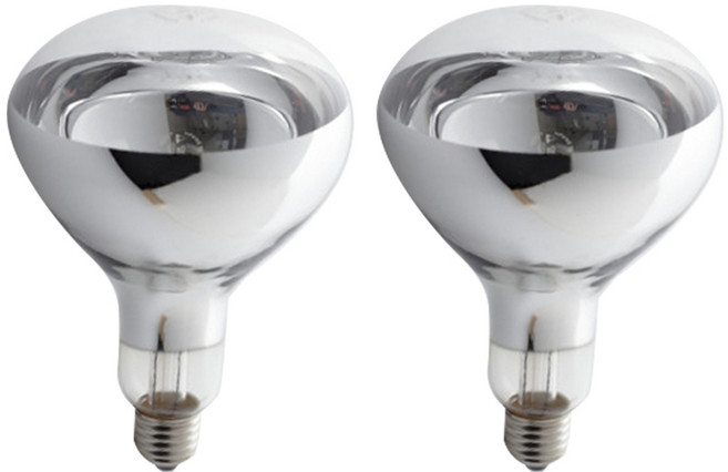 일광 적외선 램프 열전구 250W E26, 2개, 전구색