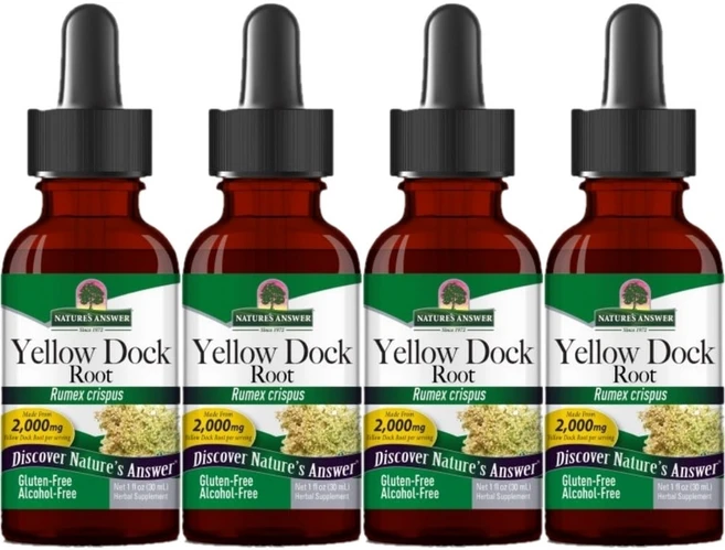 네이처스앤서 고흡수 옐로우 독 소리쟁이 뿌리 2000mg 액상 액체, 4팩, 30ml - 쿠팡