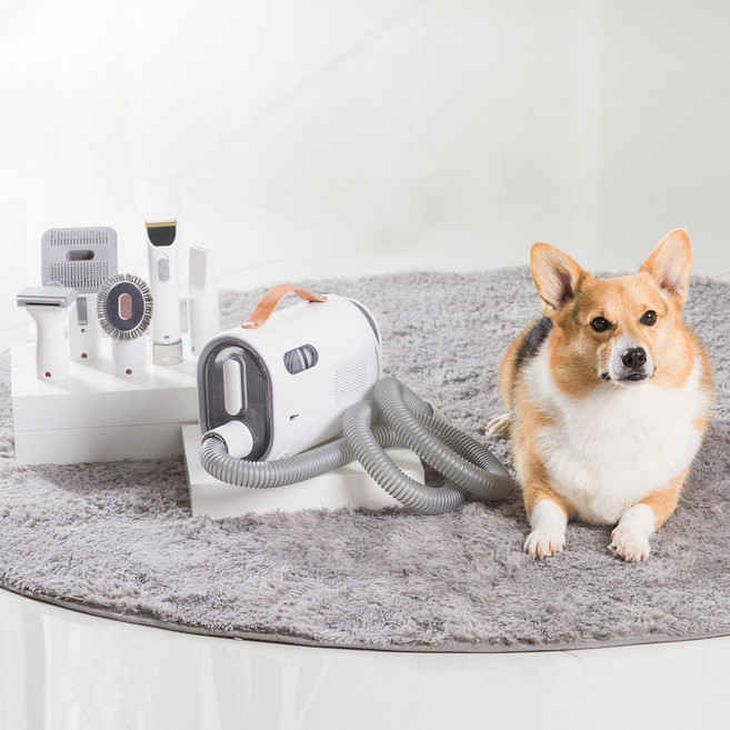 펫니즈 6in1 애견 드라이 이발 미용기 스마트 펫케어세트 PNZ-PC850W, 1개