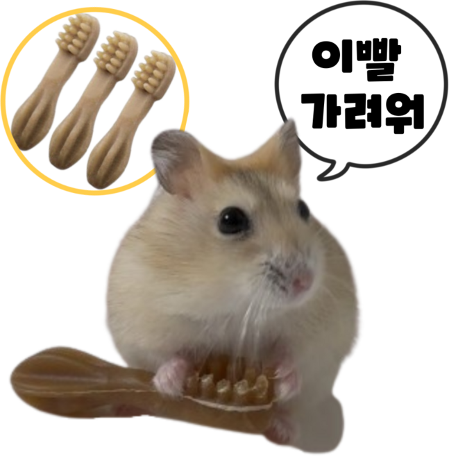 (best상품) 햄스터 이갈이 덴탈츄 비건 간식 인기만점!! 옐로우, 3개