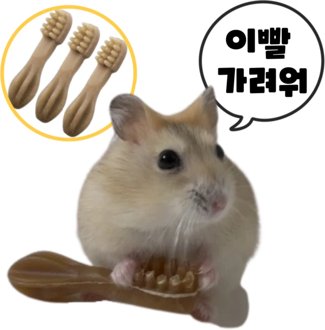 (best상품) 햄스터 이갈이 덴탈츄 비건 간식 인기만점!! 옐로우, 3개 - 쿠팡