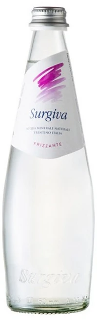 수르지바 스파클링 워터, 250ml, 24개 - 쿠팡