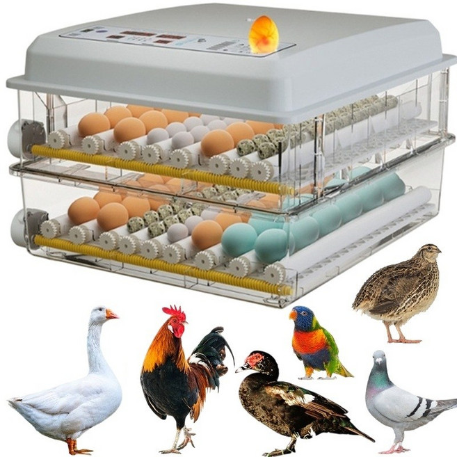 全自動孵蛋機 120枚 110V/12V雙電壓 自動翻蛋溫控 適用雞鴨鵝鳥蛋, 1個, 120枚全自動孵蛋機110V+12V二用