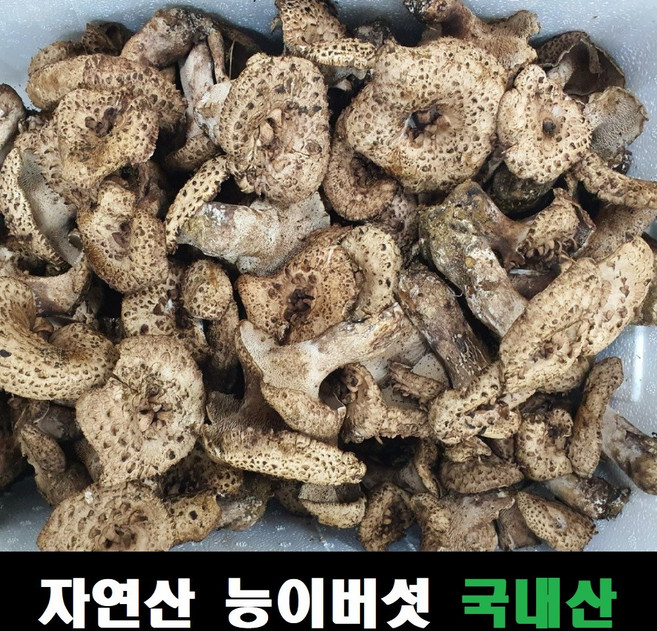 7위 - 능이버섯 자연산 국내산, 냉동능이버섯 1kg, 1개