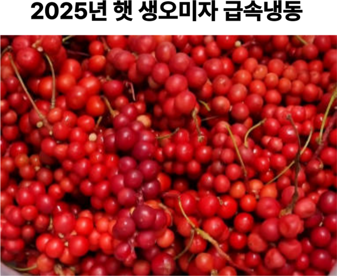 [햇오미자] 문경 생오미자 2025년 세척 5KG 급속냉동 오미자차 오미자청 오미자효소, 1개, 10kg