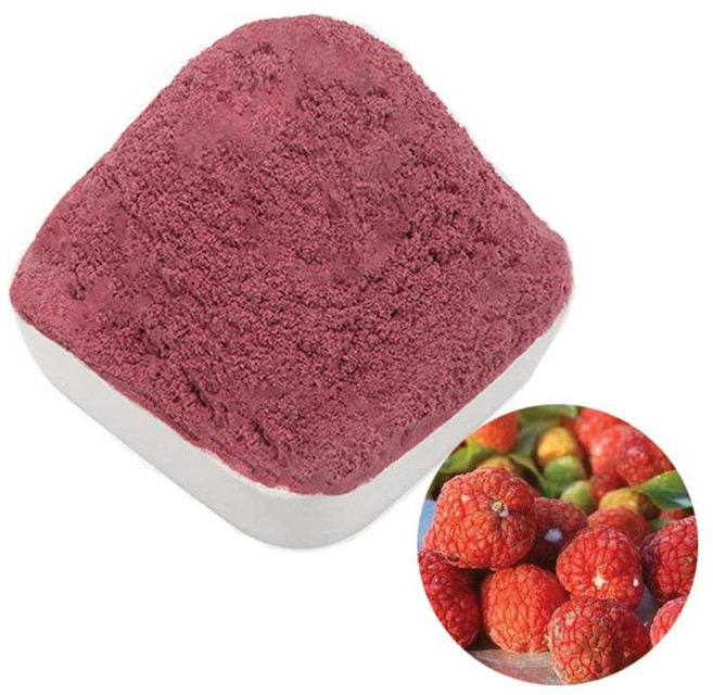 샘플 꾸지뽕열매추출분말 100g 과일농축분말 과일추출분말 [1EA] jj0*3862Vq, 1개, 단품, 1g