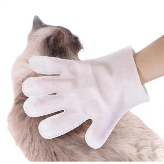 물티슈 6매입 1P 장갑형 안전 위생 펫티슈 강아지 목욕 - 쿠팡