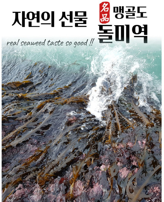 산모미역 맹골도돌미역 자연산돌미역 200g 진도 곽도 맹골군도 미역, 2개