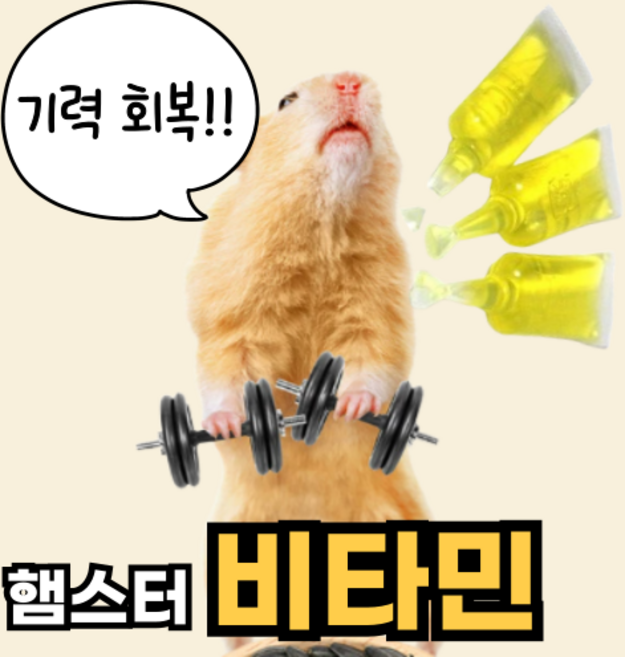 햄스터 비타민 기력회복 활력충전 마루칸 간식 먹이 노령햄찌 비타민C 비타민B VITAMIN, 5ml, 3개
