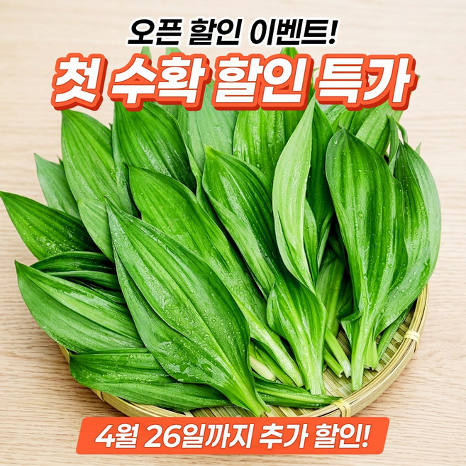 강원도 명이나물 울릉종 생 잎명이 산지직송 당일수확, 10kg, 1개