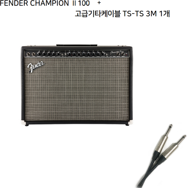 CHAMPION 100 220V ROK DS/펜더 챔피온100/일렉엠프, 챔피언2 100+케이블, 1개