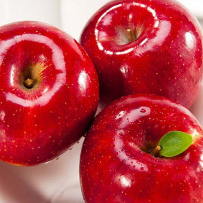 GAP인증문경 약돌사과 5kg(23~25과)