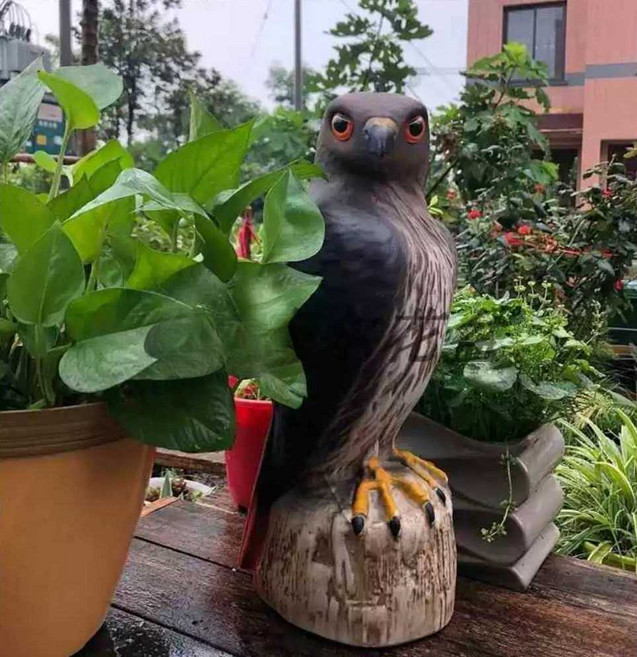 모형 대형 산짐승 농작물 가짜 비둘기농장 독수리 퇴치, 1. 독수리 1마리-S74, 1개