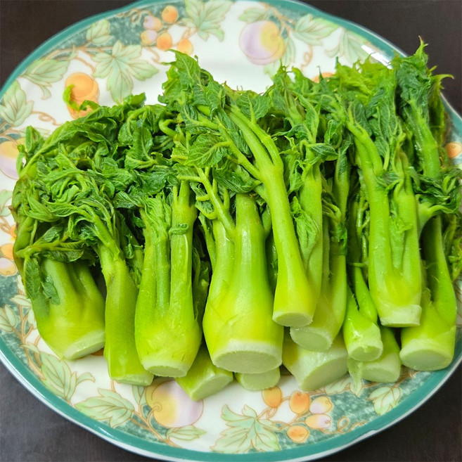 참두릅 특상품 가장연하고 부드러운 첫순참두릅 당일직접수확 산지직송으로 가장신선한 배송 4월 한정판매 500g 2팩, 2개