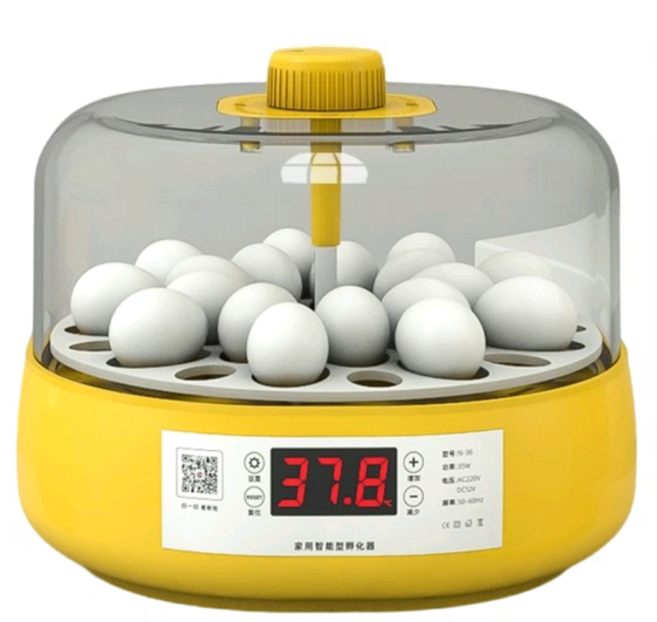 병아리 부화기 부화 키우기 거위알 부하기 계란 인공, 18개 완전자동(루틴닭새알 전용), 1개