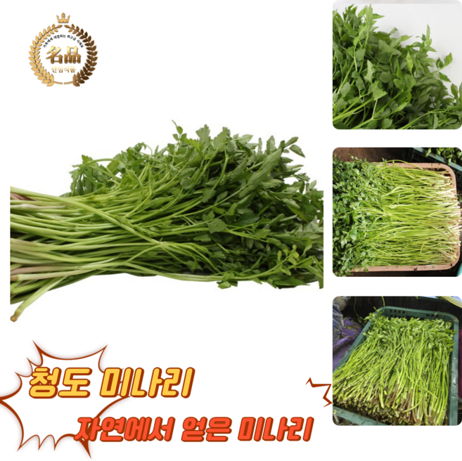 [굿피플] 청도미나리 한재미나리 국내산미나리 미나리 청도 [청도미나리], 1박스, 400g