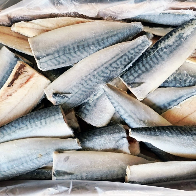 푸드마을 냉동 생선 고등어 필렛 5kg 내외 국내산, 1박스, 고등어필렛 국내산 5kg