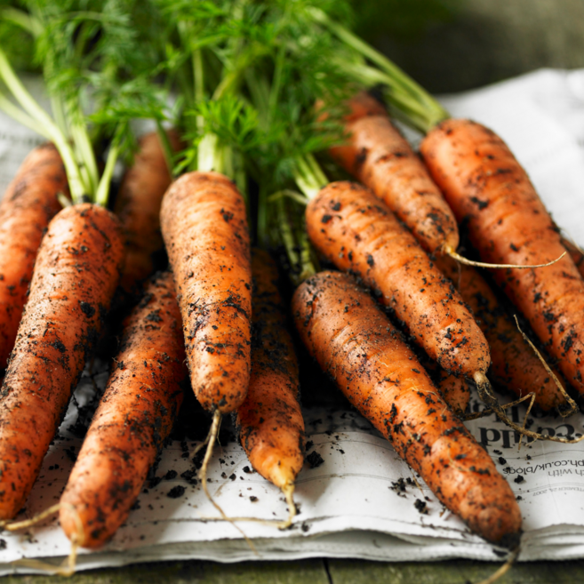 당도높은 제주 구좌 프리미엄 흙당근, 1박스, 5kg