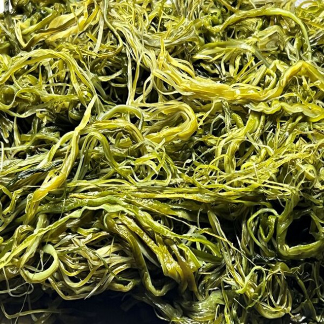 전라남도 완도산 프리미엄 씨포유 염장 미역줄기, 1박스, 1kg