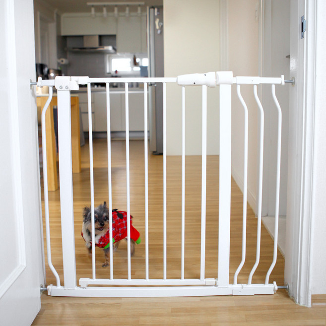 펫츄츄 반려동물 안전문 펜스 대형, 1개, (본품별도)