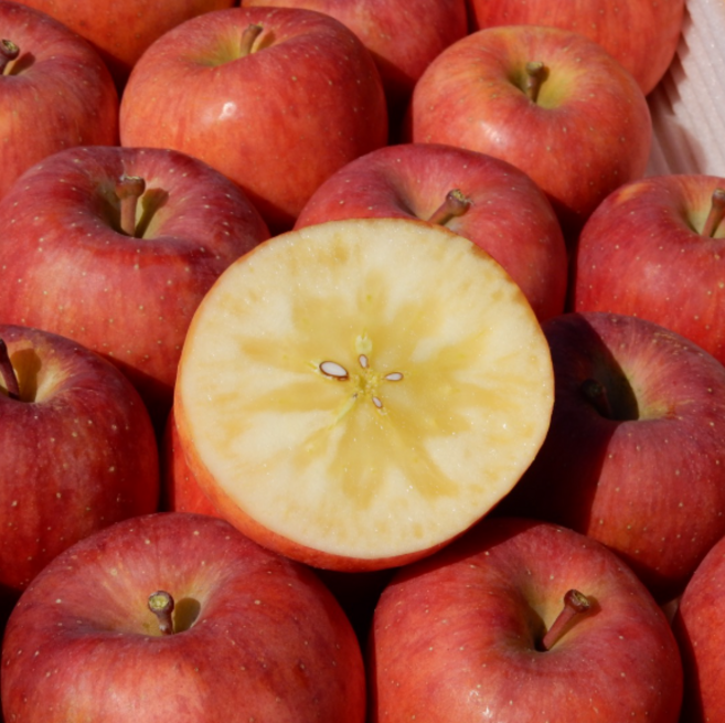 [2일초특가] 당도선별 신선한 부사 사과, 1개, 10kg (당도선별)