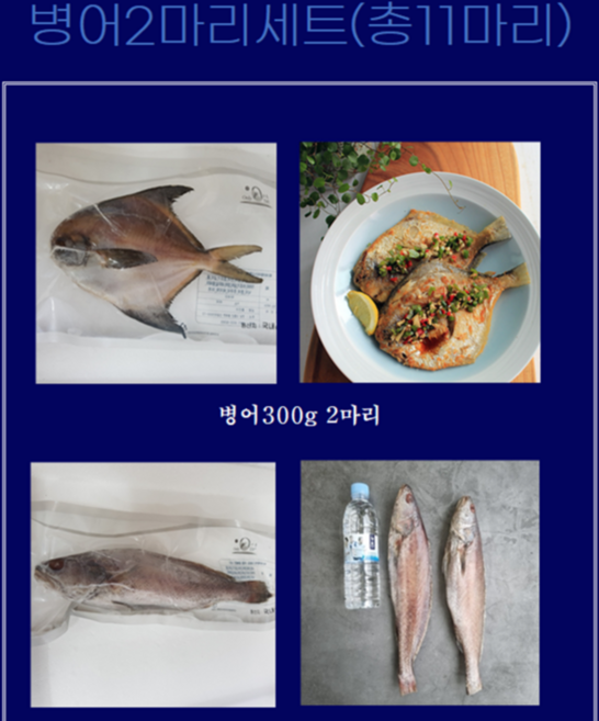 홍지수산 11마리 13마리 프리미엄 생선선물세트 선물용 제수용 병어 서대 양태 참돔, 1개, 2kg500전후 1호생선세트11마리