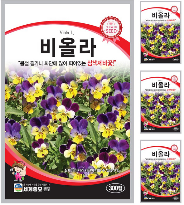 비올라 씨앗 꽃씨 300립 꽃씨앗 세계종묘 모칸도, 4개