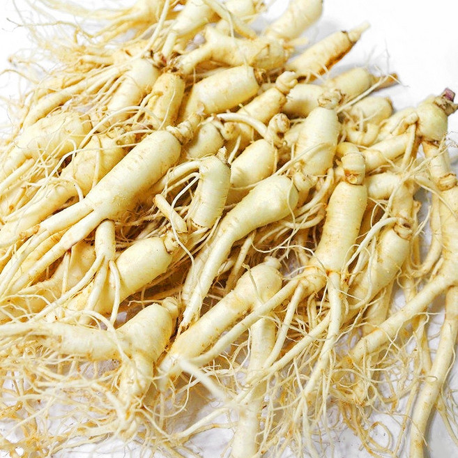 금산 후금이네 가정용 햇 수삼 세척인삼, 700g, 1세트, 27-35뿌리(난발)