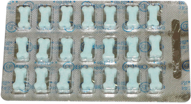 뼈다귀모양 미니멍캔디 - 사이다향 9.66g, 1개