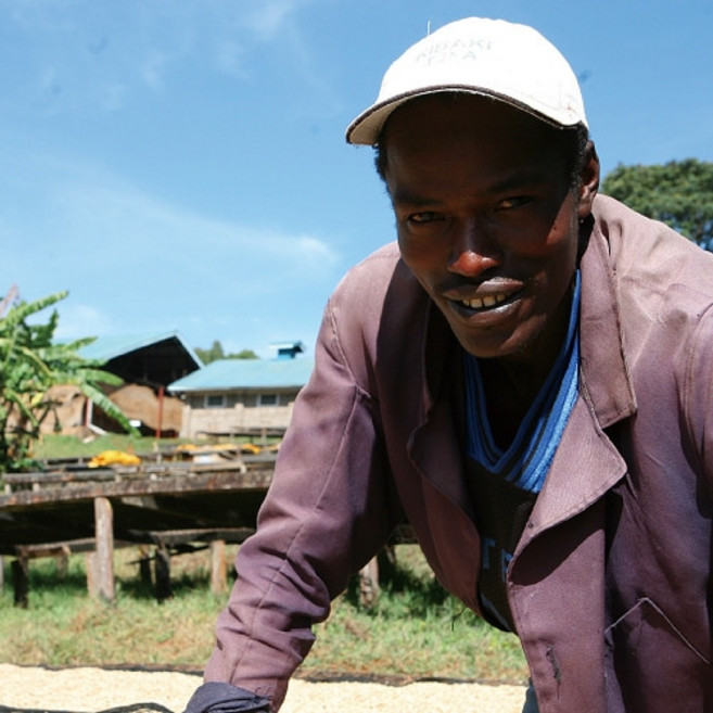 뉴로커피 싱글 오리진 - 케냐 니에리 레드 마운틴 AA, 1개, 200g