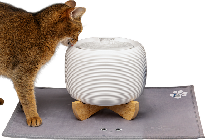 페키움 고양이 강아지 정수기 자동 급수기 저소음 올인원 세트, 페키움 자동 정수기 올인원세트 (야옹이), 1세트