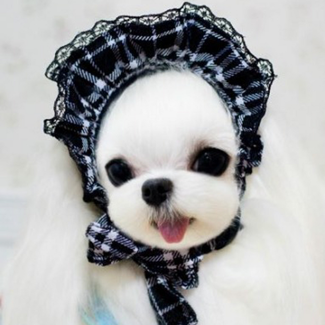 체크 레이스 헤어밴드 애견의류 강아지 고양이 악세사리, 1개, 블랙