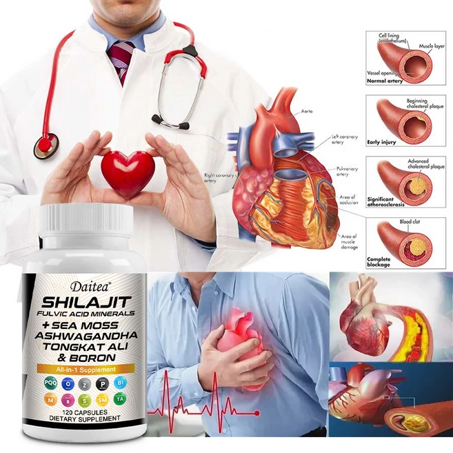 해초 아쉬와간다 통캇 알리 붕소 마그네슘이 함유된 실라짓 보충제 10 000mg - 풀빅산 남성용 캡슐 - 인지 면역 에너지 지구력 근육 심장 강화, 1개, 120정 - 쿠팡