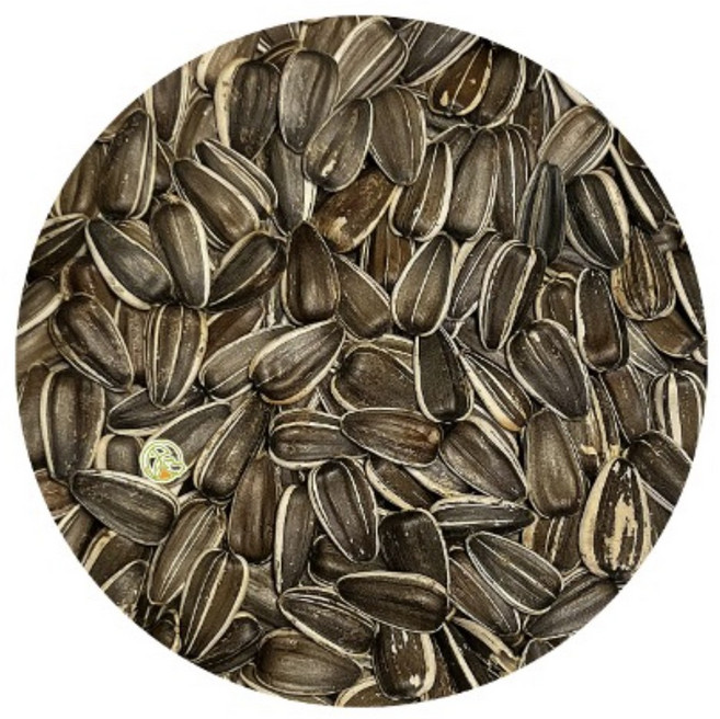 [세척+볶음]허니팜 대형 해바라기씨 5kg