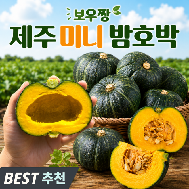 [제주] 산지직송 포슬달콤 미니 밤호박, 1박스, 10kg