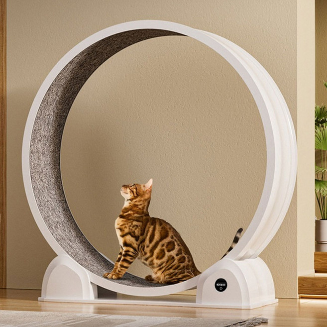 테넷 신형 대구경 저소음 캣휠 런닝머신 스마트 거리 측정 캣타워, 1개, 화이트