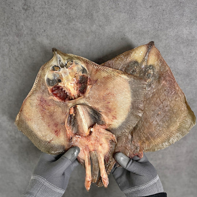 국산 남해안 손질 반건조 간재미 손질가오리 제철 26~29cm 해풍건조 찜용, 1개, 750g 내외(2미)