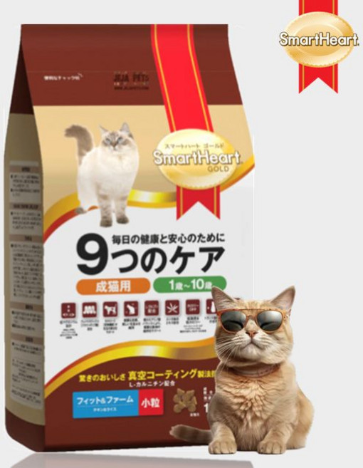 나인케어 고양이사료 체중 체형 6kg, 1개